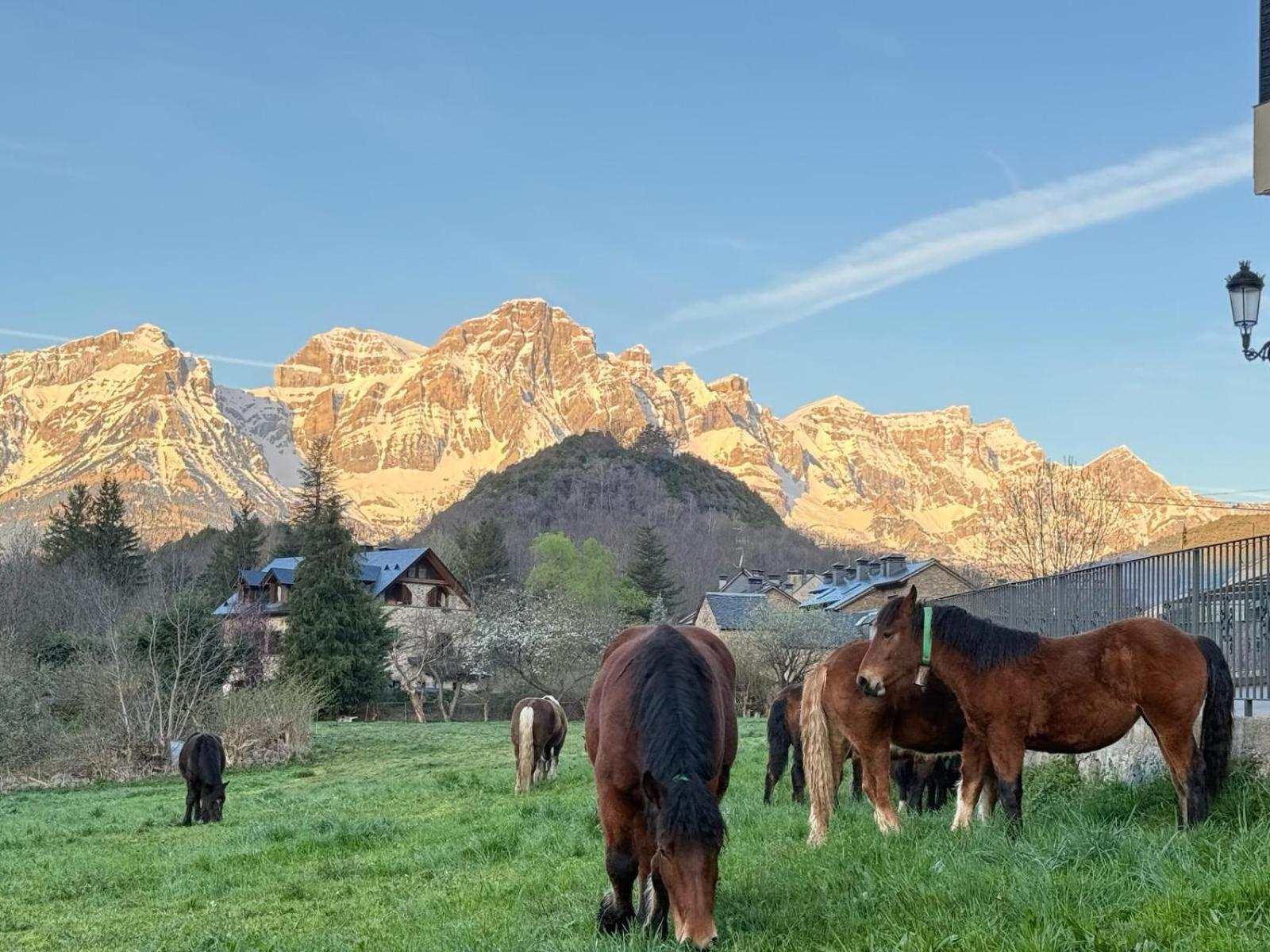 Casa Moncho Daire Panticosa Dış mekan fotoğraf